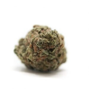 Jack Herer